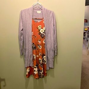 Spring/Fall Sweater/Aline Dress Set